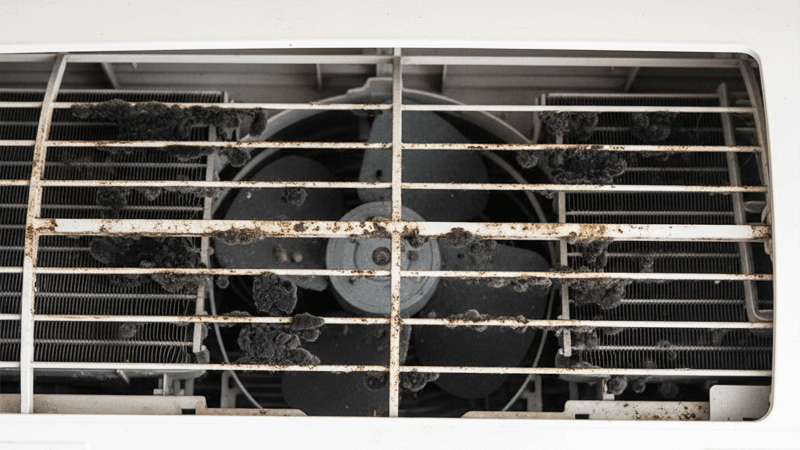 カビや黒い点々が見える